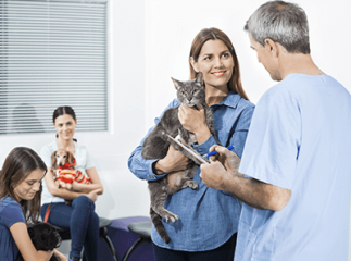 Sida du chat